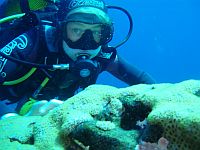 Tenerife Diving